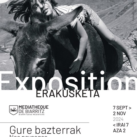 Gure bazterrak