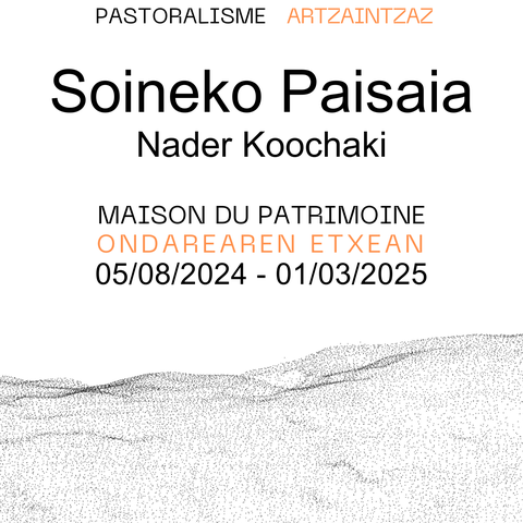 Soineko Paisaia