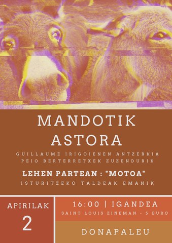 Mandotik astora