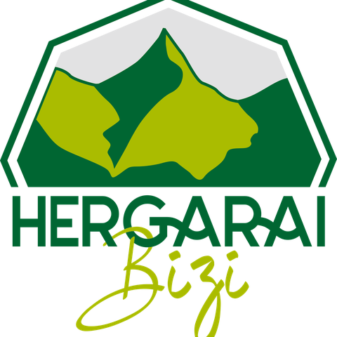 Hergarai Bizi