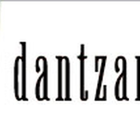 Dantzan.com webgunea berriz martxan