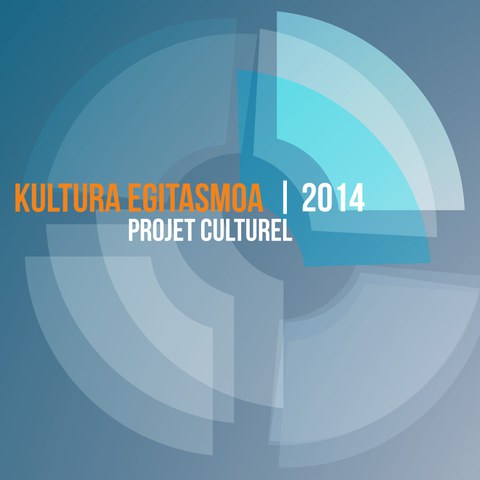Euskal kultur erakundeko 2014ko kultur egitasmoa : elkarte-kideen partaidetza eskaeren inguruko erabakiak