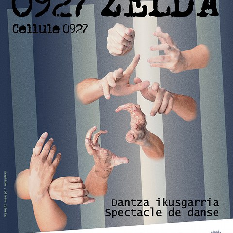 "0927. Zelda" : Zarena Zarelako konpainiaren ikusgarri berria