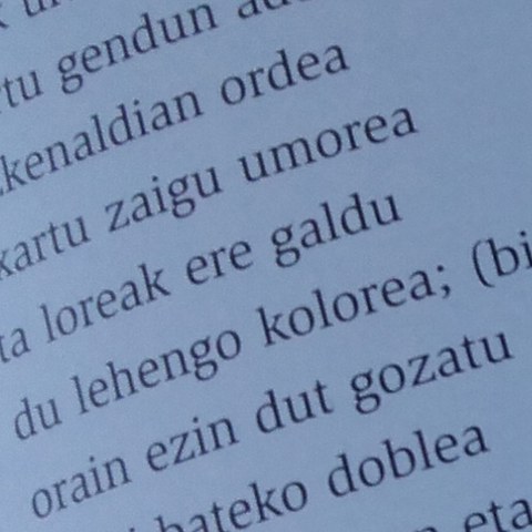 "Larraldea saria" bertsupaper lehiaketa