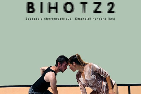 Bihotz2