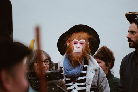 Carnaval de Saint-Jean-de-Luz / Ciboure