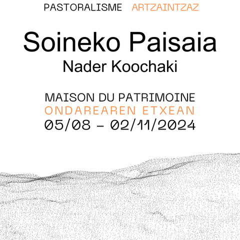 Soineko Paisaia