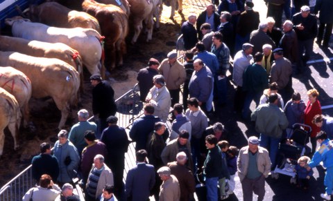 Les Bœufs-Gras la plus ancienne tradition carnavalesque de Bayonne