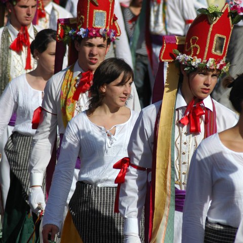 La cavalcade d'Itxassou