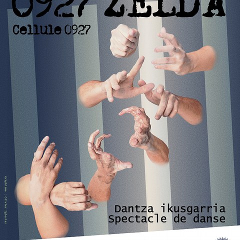 "0927. Zelda", la nouvelle création de Zarena Zarelako