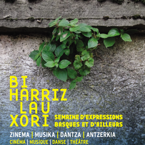 Bi Harriz Lau Xori 2019