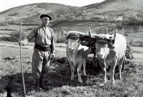 Des collections de témoignages de la mémoire orale basque