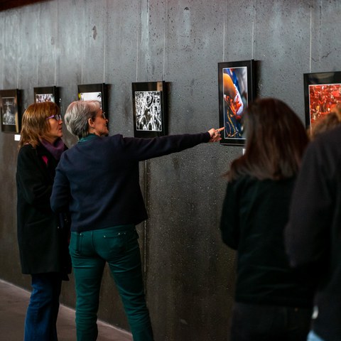 L'Institut culturel basque recherche un.e chargé.e de médiation